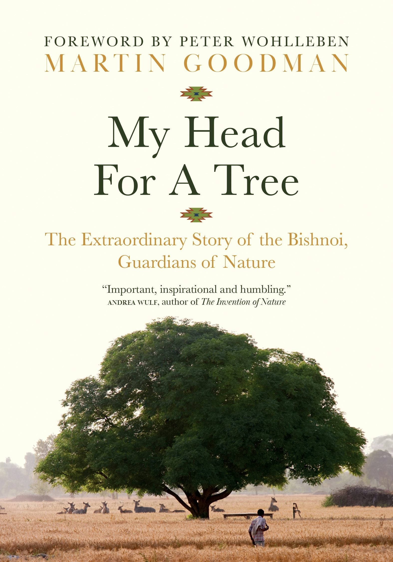 Book cover image for My Head for a Tree ISBN: 9781778401497